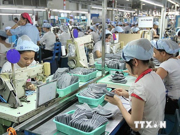 Vietnam’s first-half exports to Brazil pick up 33 3 percent